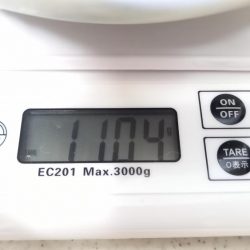 漁業権の設定されていないエリアでのタコ釣り